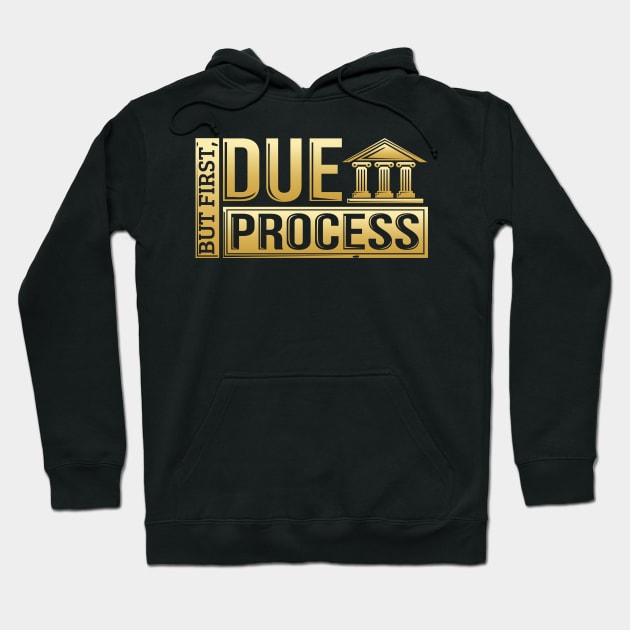 But First, Due Process Lawyer & Attorney Trial Hoodie by theperfectpresents